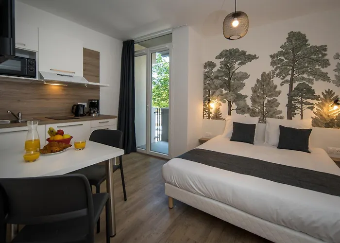 Aparthotel Lagrange Saint Sauveur Mulhouse