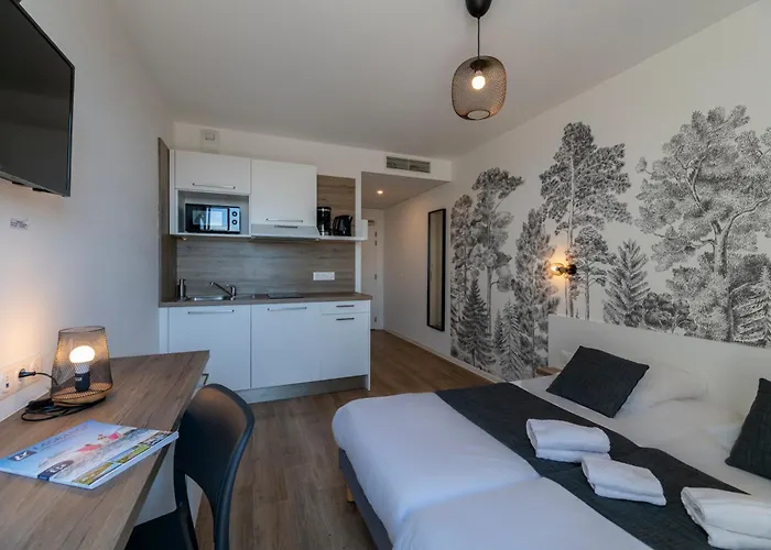 Aparthotel Lagrange Saint Sauveur Mulhouse